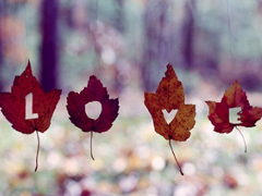 女生治愈系說說簡短好聽?zhēng)D片 可以幫你療傷的愛情說說