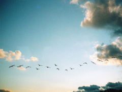 2019微信樂觀勵志的句子帶圖片 經(jīng)典勵志說說心情短語