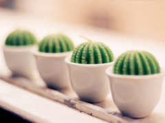 超暖心的朋友圈勵志說說帶圖片 致所有人的勵志說說值得收藏