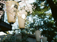 文字控最愛唯美詩意的圖片句子 所有的記憶都是潮濕的