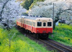 經典說說帶圖片別人必評：如果再見不能紅著眼，是否還能紅著臉