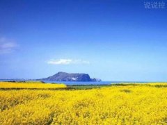 2018經(jīng)典句子帶圖片，經(jīng)典句子配圖