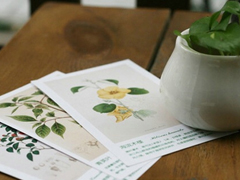 關(guān)于愛情的有意思的文藝句子 愛她是我做過的最好的事