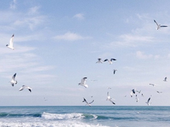 2018最勵志的關(guān)于青春和成長的圖片說說 有夢想就能看到未來