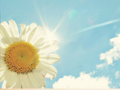 關(guān)于讀書閱讀的哲理精辟有道理的說說帶圖片