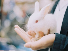 關于愛情簡單又有道理的句子配圖 愛情是一個人的天荒地老