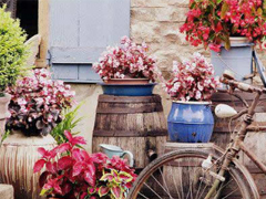 2019春分適合發(fā)朋友圈的說說句子帶圖片 今日春分早安經典說說