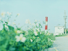 qq說說女生傷感心累了帶圖片 簡(jiǎn)短一句話說說女生難過寂寞