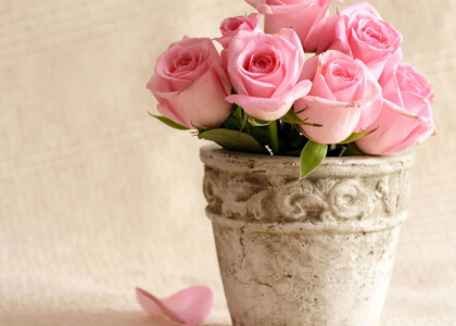 愛情圖片說說大全：我不是溫柔的人，卻為你做盡溫柔的事