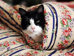 突然一瞬間悲傷難過(guò)的傷感說(shuō)說(shuō)帶圖片 抖音上很火的觸動(dòng)人心的傷感說(shuō)說(shuō)