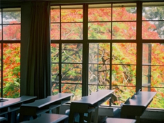 qq說說傷感女生帶絕情配圖 是真的感到心好累說說帶圖片