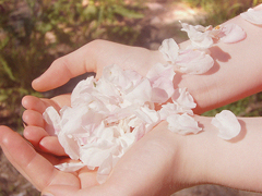 告白時(shí)的文藝?yán)寺樵捑渥?超浪漫的文藝愛(ài)情句子