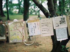 深夜里一個(gè)人心痛的傷感說說帶圖片 你們九九我八十一難