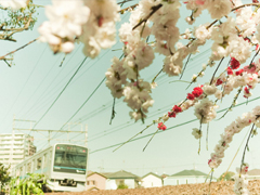 27句無限浪漫的表白情話合集 真心愛一個人的表白說說