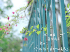 2019最新唯美經(jīng)典語(yǔ)錄大全 感悟正能量的經(jīng)典句子