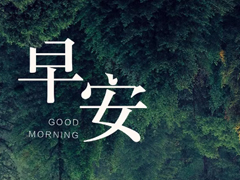 2018微商早安正能量語錄集 微商勵志語錄女人早安心語