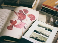 有點傷感的愛情說說帶圖片 失去一個人后是什么感覺