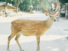 表示無(wú)聊的朋友圈說(shuō)說(shuō)帶圖片：無(wú)聊，是人生的一種正常現(xiàn)象