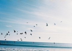 悲傷的說說帶圖片：也許他只是曖昧成癮，而你卻走了心