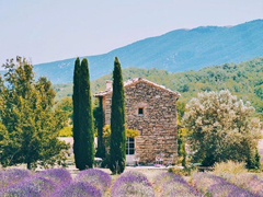 給女生勵志暖心的句子精選 激勵人心適合發(fā)朋友圈的句子大全