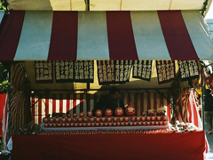 微博上很火的正能量的句子 你的人生你做主