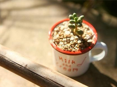 朋友圈早安勵志句子長一點的 美好的一天勵志句子新的開始