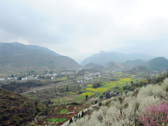 每天一句正能量的句子勵(lì)志向上 全新的元?dú)鉂M滿的勵(lì)志說(shuō)說(shuō)