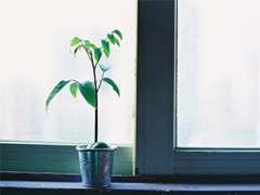 晚安句子大全簡單正能量 睡覺前致自己的勵志句子