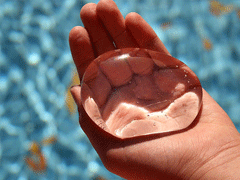 2019新年勵(lì)志句子致自己簡(jiǎn)短 散發(fā)正能量的勵(lì)志句子合集