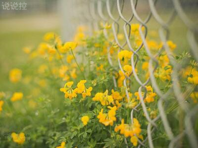 傷感圖片說(shuō)說(shuō)：你突然對(duì)我這么冷淡，是不是在為別人赴湯蹈火