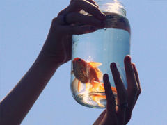 充滿正能量的英文句子帶翻譯 抖音最火勵(lì)志英文句子合集