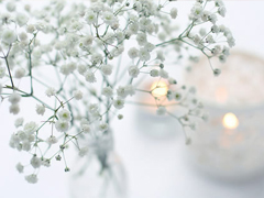 關(guān)于時(shí)光和成長的哲理英文句子 很有道理的精辟句子