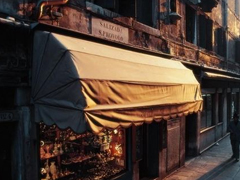 關于人生成長的經(jīng)典哲理句子 一生那么短再拘謹幾下就真的過去了