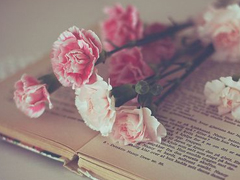 生活很喪的經(jīng)典句子大全2018 一些很喪很絕望的句子短一點