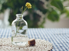 人生充滿陽(yáng)光的經(jīng)典勵(lì)志句子 每天都要更努力的哲理句子大全