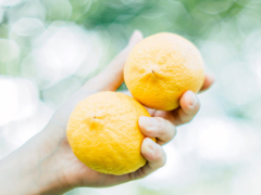 16條適合發(fā)朋友圈的旅行句子配圖 旅行句子表達(dá)心情短語最新版