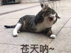 2018搞笑句子越短越好精選 簡(jiǎn)短的搞笑句子一句話笑死人