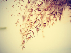 從來(lái)沒(méi)為自己活過(guò)是什么感受 表示很心累的心酸句子