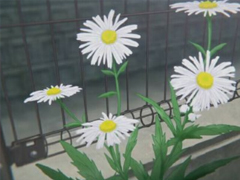 描寫(xiě)谷雨的優(yōu)好聽(tīng)的美句子 谷雨唯美說(shuō)說(shuō)大全2019