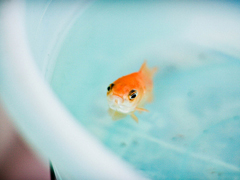 2018表達心情失落的傷感句子大全 痛到心碎的愛情傷感句子