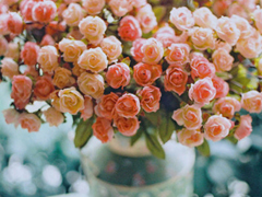 生活中很有哲理的經(jīng)典句子 簡(jiǎn)單卻很精辟的句子