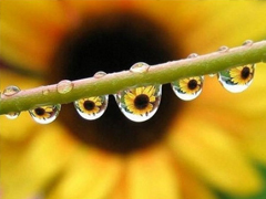 好聽的一句話愛情句子2019 傷感的愛情句子一句話簡單明了