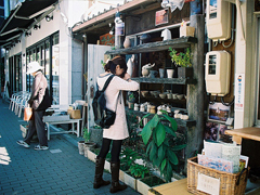 提到愛(ài)情的一些隨想 關(guān)于愛(ài)情的精辟句子