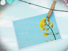 心情不好的說說失望透頂 最冷不過心寒說說