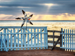 女生為情所困的傷感說(shuō)說(shuō) 女生傷感說(shuō)說(shuō)大全20字以?xún)?nèi)