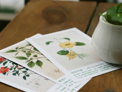 感情挫敗的傷心說(shuō)說(shuō) 一段傷心的感情說(shuō)說(shuō)