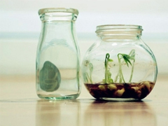 2019抖音最火傷感語錄 聽起來很心酸掉眼淚的句子