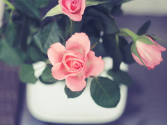 內(nèi)心煎熬的傷感說說帶圖片 始終無法忘記他的虐心說說