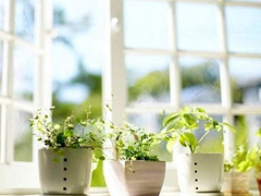 一個(gè)人被愛(ài)情傷透了的說(shuō)說(shuō) 被感情傷害的說(shuō)說(shuō)心情短語(yǔ)