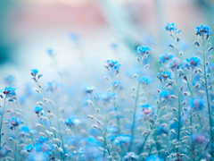 異地戀分手后傷感說說大全 內心難受心情崩潰的傷感說說